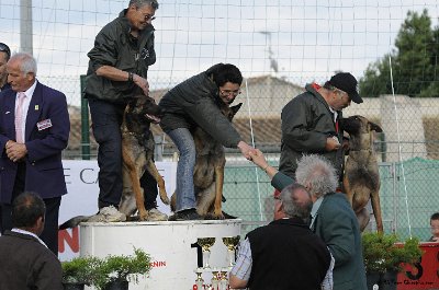 Remise des Prix 116.JPG - CHIENPLUS.COM